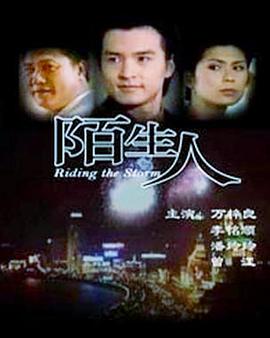 陌生人1999第30集(大结局)